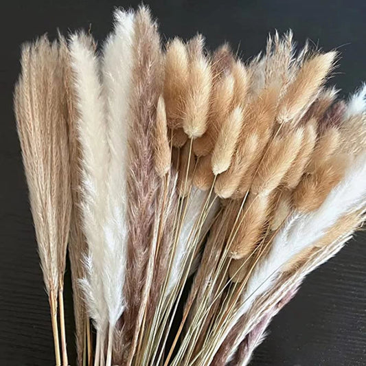 Natural Dried Pampas Grass & Bunny Tail Bouquet