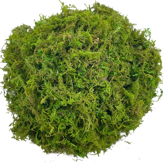 Artificial Decorative Moss – Natural Look Preserved Moss
